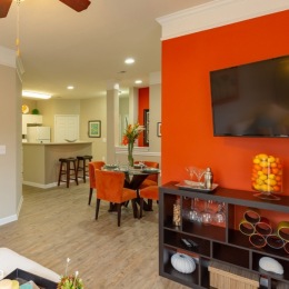 Dinner and a movie, anyone? The open 1-, 2-, and 3-bedroom floor plans in our Virginia Beach apartments allow you to go from one activity to the next with ease. Which meal and film combo will you choose? ππ¬
#banyangrove #bebanyan #virginiabeachapartments #livegreystar Instagram post from @banyangroveapartments on October 12, 2021 15:56:42pm