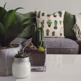 Looking to jazz up your living room decor? Including pillows with patterns of your favorite things can add some character to your home! #homedecor #homeinspo Instagram post from @banyangroveapartments on October 14, 2021 16:03:24pm