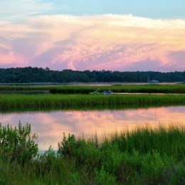 There are so many beautiful parks to explore around Virginia Beach! π What are some of your favorites? π³
.
.
.
π· : @vbparksrec
#nature #virginiabeachparks #vbparksrec #virginiabeachliving Instagram post from @banyangroveapartments on October 21, 2021 15:57:12pm